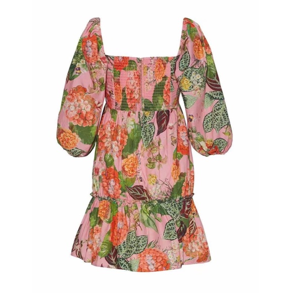 NEW Cara Cara Sip Sip Mini Dress - Avery Floral Pink Causal Cocktail Cotton - Picture 4 of 8